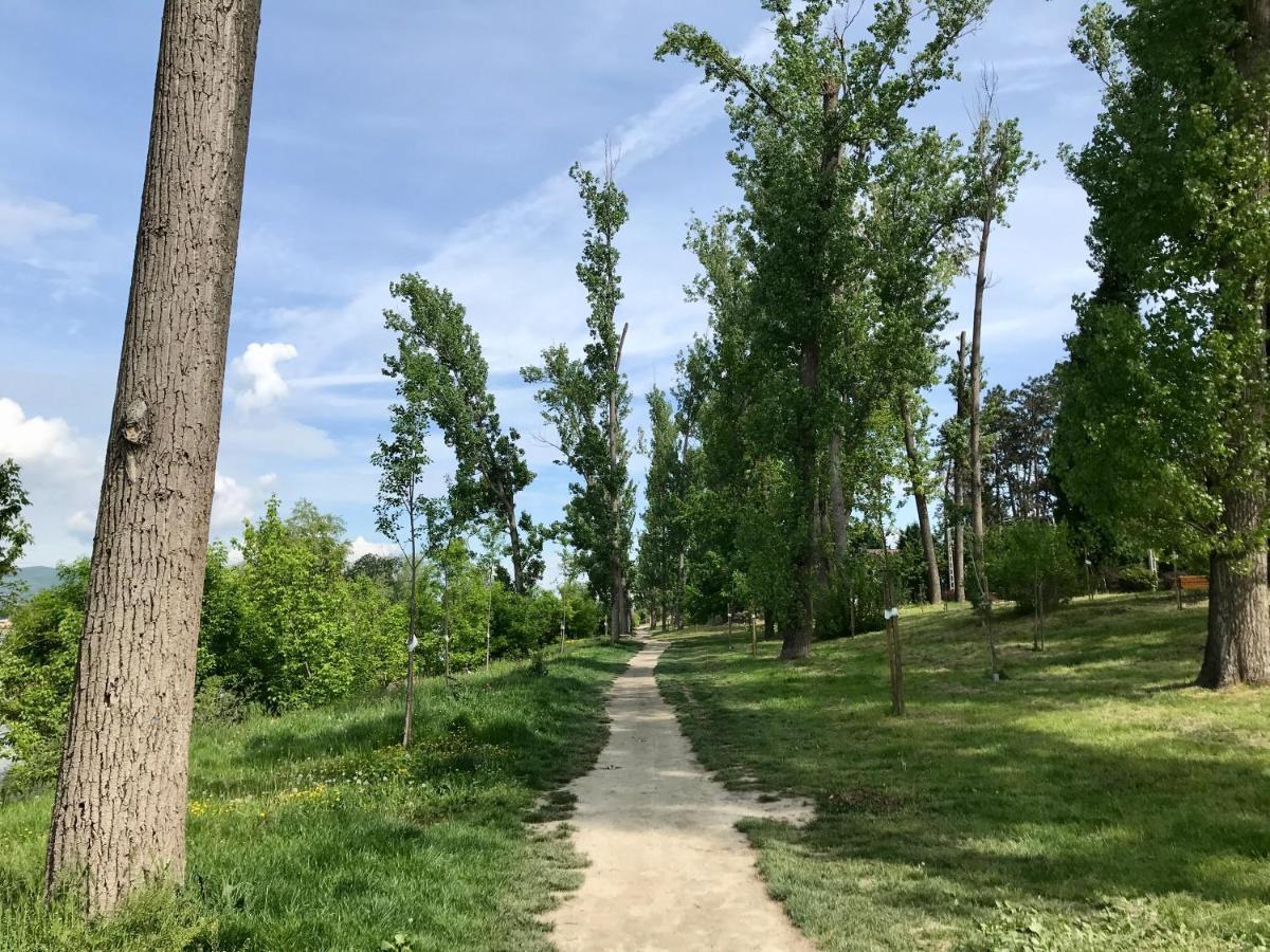 Lovely Nest Near Budapest ドゥナケシ エクステリア 写真